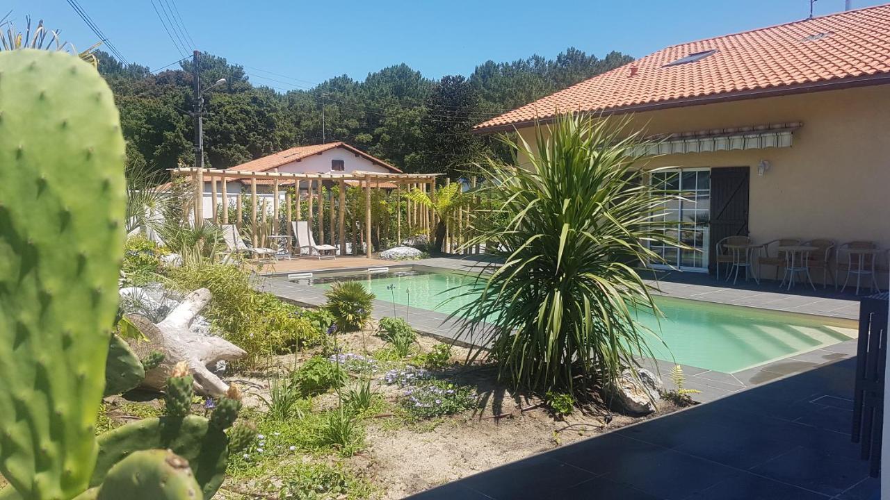 Chambre D'Hotes Avec Terrasse, Meuble Tourisme 1 Etoile Labenne Exterior foto